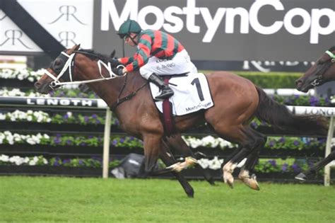 Randwick Guineas .